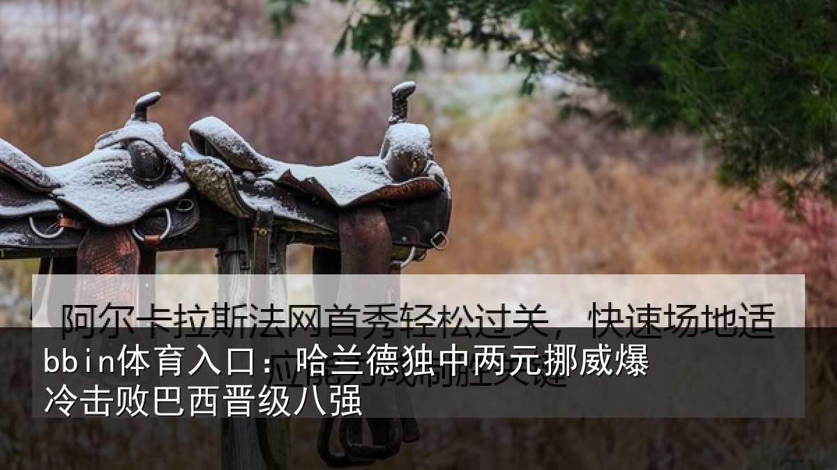 bbin体育入口：哈兰德独中两元挪威爆冷击败巴西晋级八强