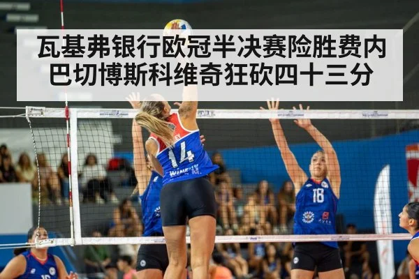 volleyball match