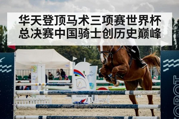 horse show jumping arena